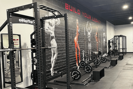 Image 3 from Metroflex Gym Tampa partner gallery