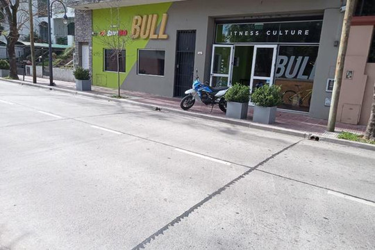 Imagen 1 de la galería del partner Bull Fitness - San Fernando