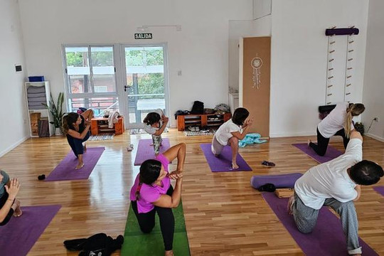Imagen 1 de la galería del partner ALA yoga Paraná
