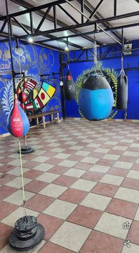 Imagen 2 de la galería del partner Kadaver Boxing Club