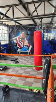 Imagen 3 de la galería del partner Kadaver Boxing Club