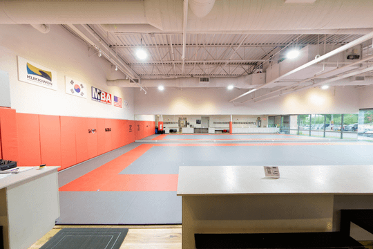 Image 1 from Majest Martial Arts partner gallery