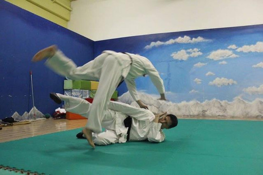 Immagine 1 dalla galleria del partner Scuola di Kung Fu e Tai Chi Vercelli