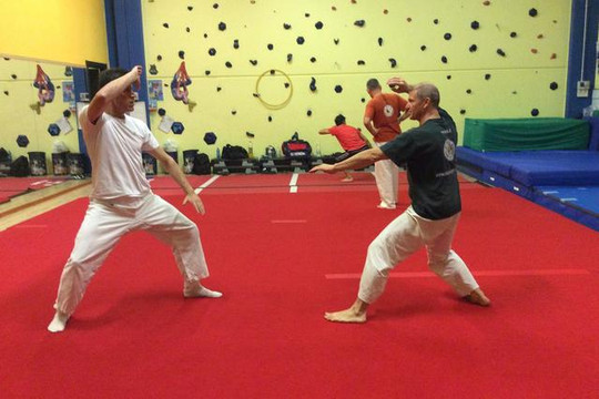 Immagine 2 dalla galleria del partner Scuola di Kung Fu e Tai Chi Vercelli