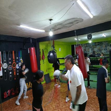 Imagen 3 de la galería del partner Club de Box Gallo Negro