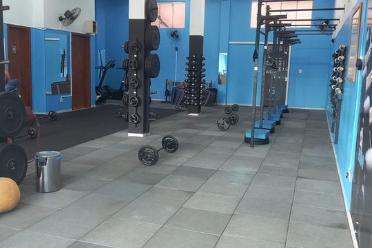 Imagem 3 da galeria do parceiro Método Guerick Richard - Castro