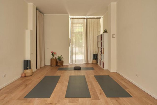 Immagine 1 dalla galleria del partner Forlanini Yoga Project