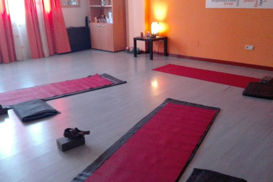 Imagen 3 de la galería del partner Feel Fine