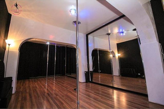 Imagen 3 de la galería del partner Pole Fit Studio Cuauhtémoc