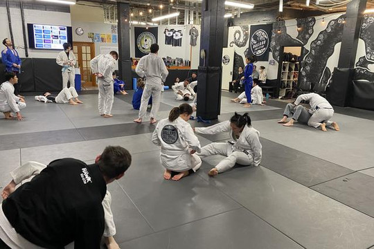 Image 3 from Ballard Jiu Jitsu partner gallery