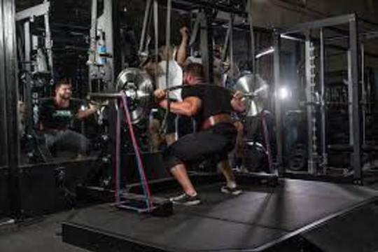 Image 3 from Bionic Barbell partner gallery