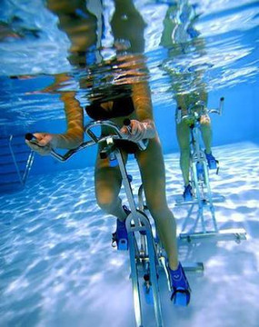 Image 2 from Aquatic Performance Training partner gallery