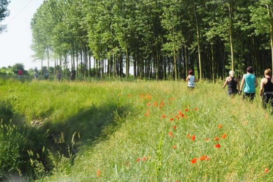 Immagine 2 dalla galleria del partner Nordic Walking Mestre
