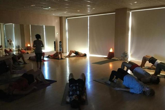 Imagen 2 de la galería del partner Cami de Ioga