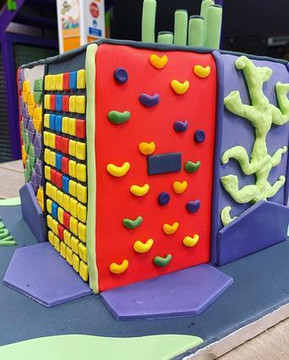 Image 3 from Clip and Climb Derby partner gallery