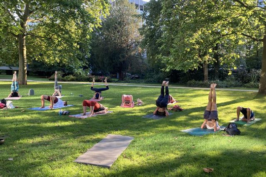 Bild 1 von Yoga Vidya Grüneburgpark Partnergalerie
