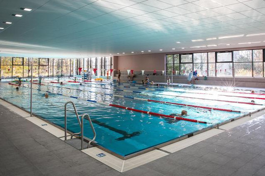 Bild 3 von Schwimmhalle Bühlau Partnergalerie