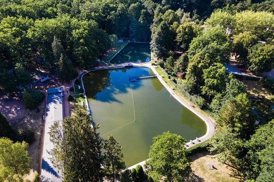 Bild 1 von Waldbad Langebrück Partnergalerie