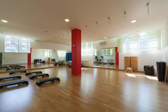Immagine 1 dalla galleria del partner Palestra Gymnasium Studios