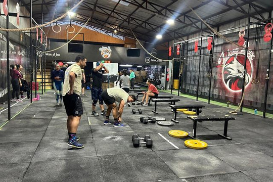 Imagen 2 de la galería del partner FalconBox