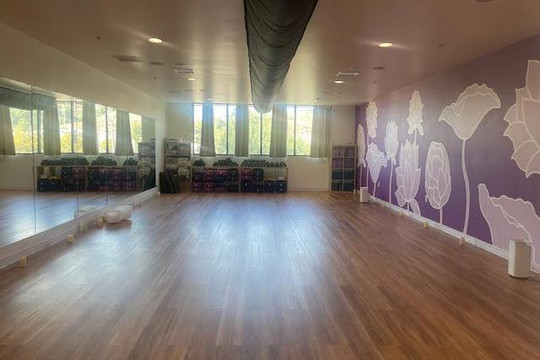Image 1 from The Balanced Yogi partner gallery