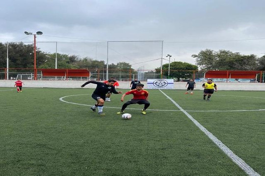 Imagen 3 de la galería del partner Enfut
