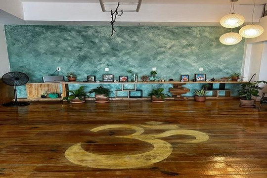 Imagen 1 de la galería del partner Kailāsa Yoga Shala