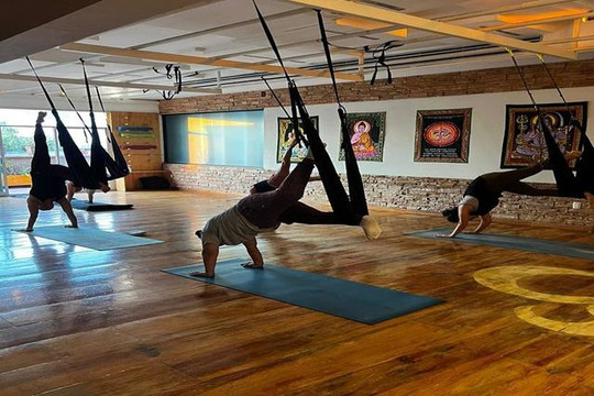 Imagen 3 de la galería del partner Kailāsa Yoga Shala