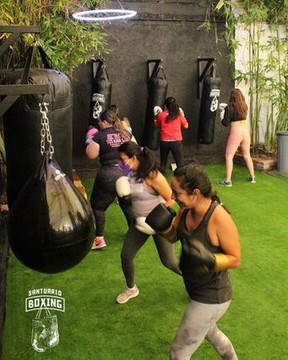 Imagen 1 de la galería del partner Santuario Boxing Del Valle