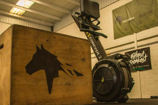 Imagen 3 de la galería del partner War Horse Box Training
