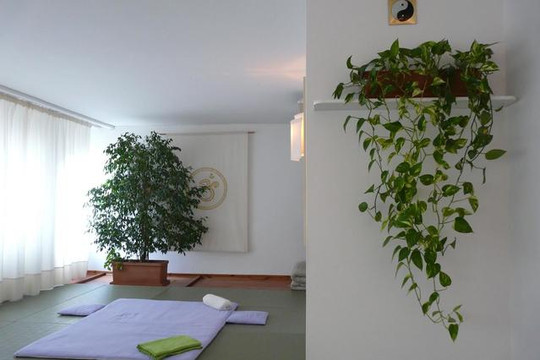 Immagine 1 dalla galleria del partner Studio Discipline Olistiche