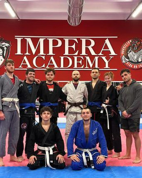 Immagine 3 dalla galleria del partner Impera Academy