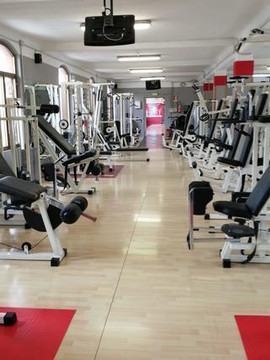 Immagine 3 dalla galleria del partner ASD NEVER BACK DOWN FITNESS CENTER