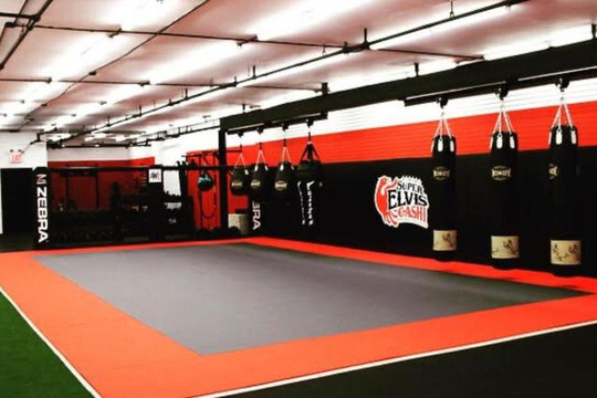 Image 1 from Arena Training Center partner gallery