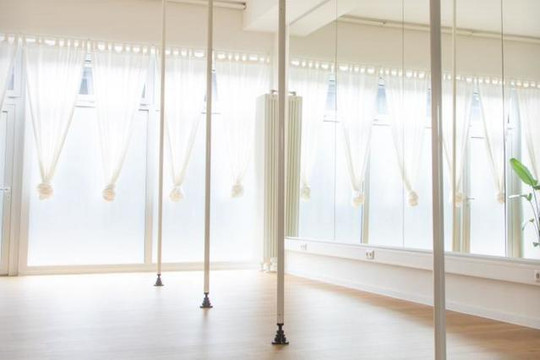 Bild 3 von ANNACONDA Pole & Aerial Sports Partnergalerie