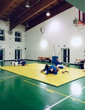 Immagine 1 dalla galleria del partner BJJ San Siro