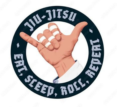 Immagine 3 dalla galleria del partner BJJ San Siro