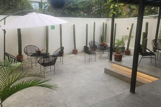 Imagen 2 de la galería del partner Flow Condesa