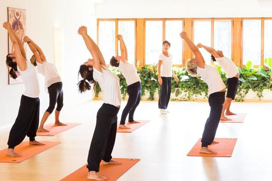 Immagine 1 dalla galleria del partner Istituto Yoga Moksha a.s.d.