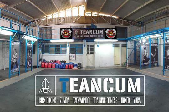 Imagen 1 de la galería del partner Teancum