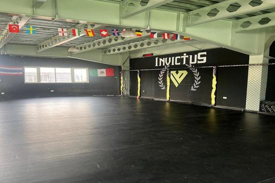 Imagen 1 de la galería del partner Invictus Fight System