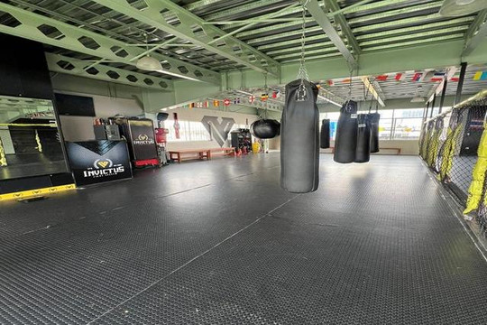 Imagen 3 de la galería del partner Invictus Fight System