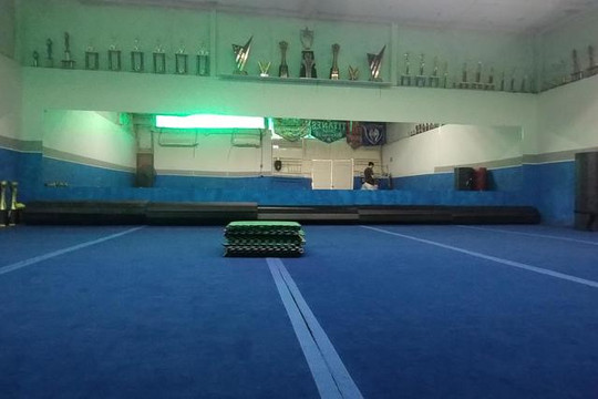 Imagen 3 de la galería del partner Gimnasio Titanes Cheer & Dance