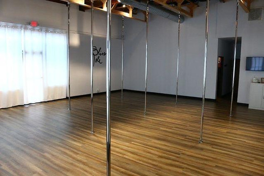 Image 1 from Bliss Pole partner gallery