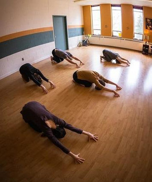 Image 3 from Yoga For Health Education partner gallery