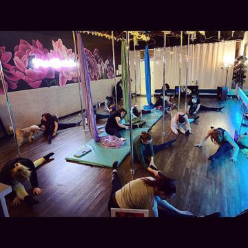 Image 3 from Pole Revolution LLC partner gallery