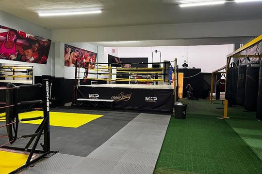 Imagen 1 de la galería del partner Plebe Boxing Club