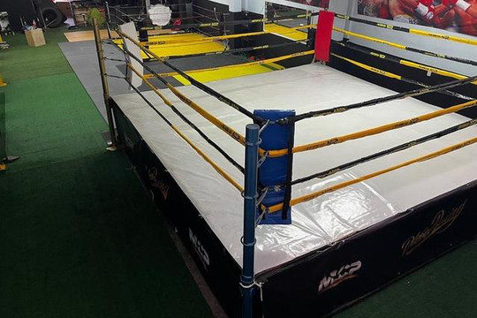 Imagen 3 de la galería del partner Plebe Boxing Club