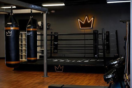 Image 3 from Crowned Boxing partner gallery
