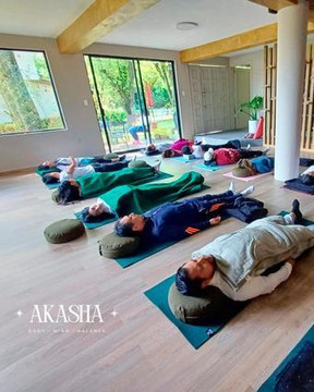 Imagen 2 de la galería del partner Rise Movement Collective